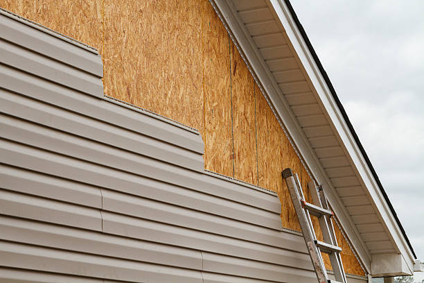 Professional Siding Inspection technician working in Bushnell, FL